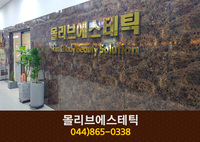 몰리브에스테틱 : 044-865-0338