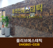 몰리브에스테틱 : 044-865-0338