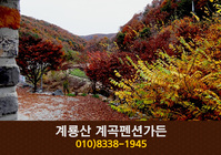 계룡산계곡펜션가든(학봉리):010-8338-1945