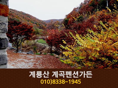 계룡산계곡펜션가든(학봉리):010-8338-1945