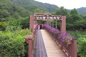 [대전] 상소동 산림욕장