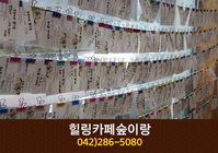 힐링카페숲이랑(대사동):042-286-5080