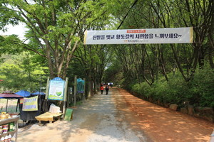 [대전] 계족산 황톳길