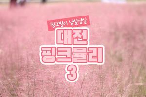 [대전] 핑크뮬리 명소 3곳