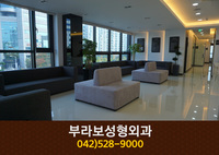 부라보성형외과(괴정동):042-528-9000