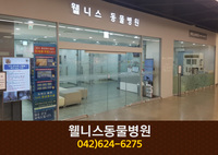 웰니스클리닉동물병원(용전동):042-624-6275