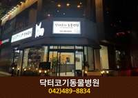 닥터코기동물병원(탄방동):042-489-8834