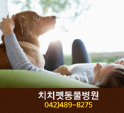 치치펫동물병원(갈마동):042-489-8275
