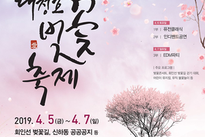 제1회 대청호벚꽃축제 : 벚꽃애빠지다