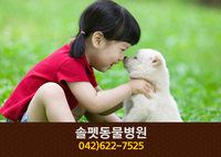솔펫동물병원(자양동):042-622-7525