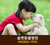 솔펫동물병원(자양동):042-622-7525