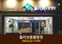 올리브동물병원(목동):042-222-3700
