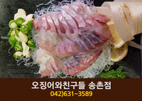 [대전 송촌동] 오징어와친구들 : 042-621-358