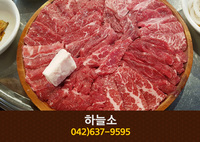 하늘소(중리동):042-637-9595