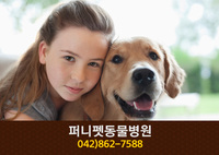퍼니펫동물병원(어은동):042-862-7588