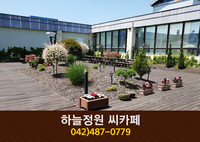 하늘정원 씨카페(둔산동):042-487-0779