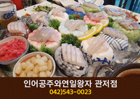 인어공주와연일왕자(관저동):042-543-0023