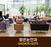 맑은눈안과(둔산동):042-476-0075
