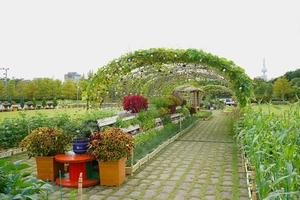 한밭수목원, 제28회 우리꽃·전통생활식물 전시회 개최