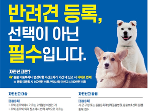 대전시, 10월 한 달간 반려동물등록 일제점검 실시